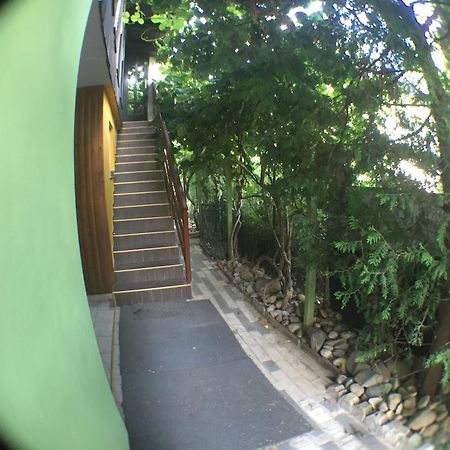 Guest House Pikapolonca マリボル エクステリア 写真